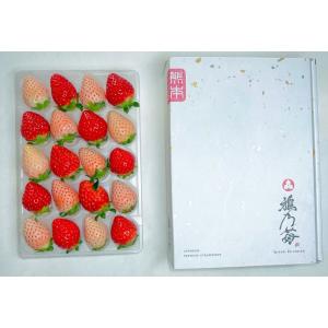 ~お歳暮先行 １２月から順次~ 熊本産 雅乃苺 赤イチゴ