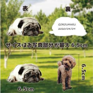 ペット 写真 フォトキーホルダー メモリアルグ...の詳細画像4