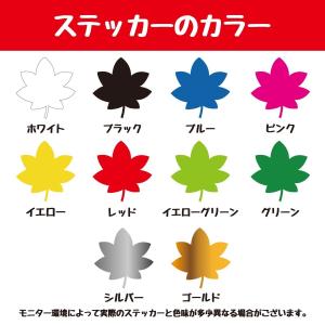 ステッカー 作成 車 店 おしゃれ 10cmま...の詳細画像2