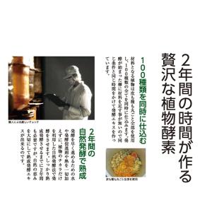 生酵素 みやびの贅沢な植物酵素100 3袋セッ...の詳細画像3