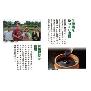 生酵素 みやびの贅沢な植物酵素100 3袋セッ...の詳細画像4