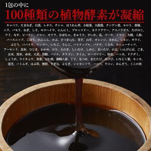 生酵素 みやびの贅沢な植物酵素100 3袋セッ...の詳細画像5
