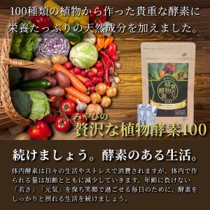 生酵素 みやびの贅沢な植物酵素100 高麗人参...の詳細画像1