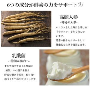 生酵素 みやびの贅沢な植物酵素100 高麗人参...の詳細画像5