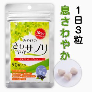 さわやかサプリ 300mg×90粒 シャンピニオン 渋柿エキス エチケット チュアブル 爽臭 30日分｜miyabi-store