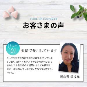 口臭サプリ さわやかサプリ 300mg×90粒...の詳細画像4