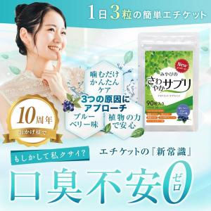 口臭サプリ さわやかサプリ 300mg×90粒...の詳細画像1