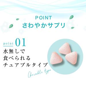 口臭サプリ さわやかサプリ 300mg×90粒...の詳細画像2