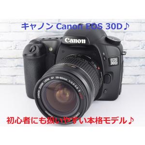 キヤノン Canon EOS 30D レンズセット デジタル一眼レフカメラ 中古 EF 28-80mm USM V CFカード4GB USB接続カードリーダー
