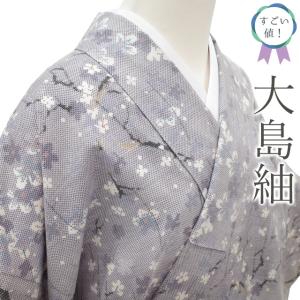 D672 訪問着　総刺繍　薄グレー　正絹　着物　袷　しつけ糸付き未使用極美品 9b405e0b95ee2efeb0e069c5bb331c