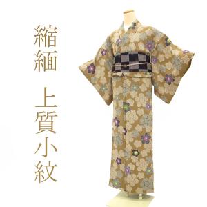 夏物 変わり絽 色無地 着物 着尺 五泉 小熊 正絹 薄ピンクベージュ  