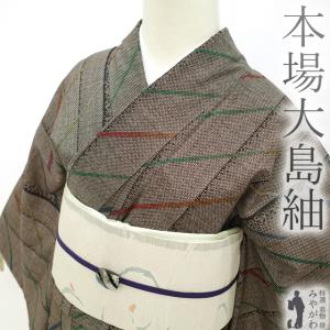 平和屋着物●本場大島紬　泥染め　カタス9マルキ　花間道　正絹　逸品　AABF9117cs 平和屋着物○本場大島紬 泥染め カタス9マルキ 枝花文 正絹 逸品