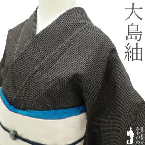 紋紗 御召 訪問着 単衣 着物 春 夏 秋 先染め 黒×濃グレー 流線