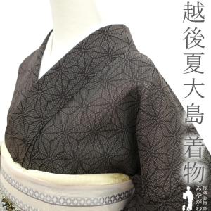御召 単衣 着物 春 秋 お召 西陣きもの會 御召機の証 安治郎 黒 御召 単衣 着物 春 秋 お召 西陣きもの會 御召機の証 安治郎 黒