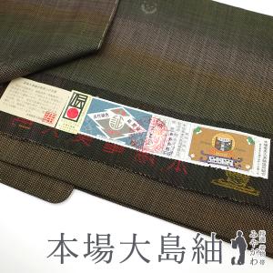 平和屋着物○本場大島紬 龍郷絣 正絹 逸品 CABC6410yc : 平和屋ヤフー