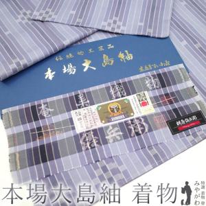 特選本場大島 1783 御仕立て上がり夏大島 着尺 みづゑ 黒系濃紺