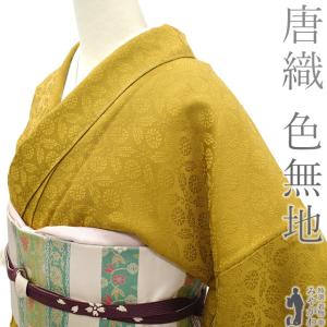 色無地 無地着物 リサイクル色無地袷 絵羽柄地紋 青海波紋 縮緬 朱