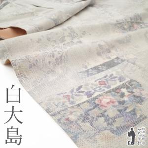 本場大島紬 着物 未使用 正絹 白大島 白泥染 大島紬 12マルキ 草花