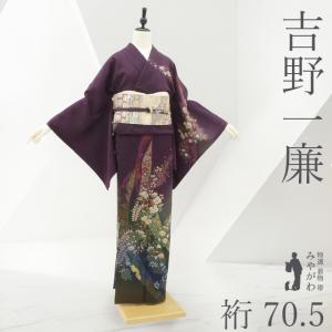 平紬 訪問着 着物 未使用 正絹 袷 片身替わり 縞 墨流し染 カジュアル