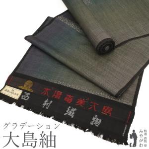 本場大島紬 着物 着尺 反物 正絹 白大島 大島紬 白泥 織絣 横双 白 薄