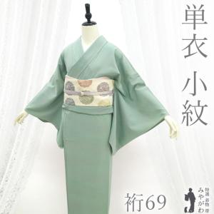 すごい値！小紋 着物 袷 正絹 手染め ベージュ地 菊 斜め縞 ぼかし