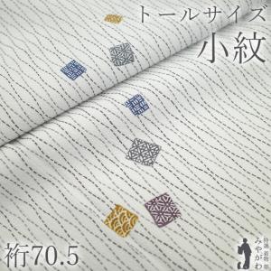 小紋 着物 未使用 正絹 袷 染め柄 白グレー 色紙散らし文 カジュアル 新古品 仕立て上がり 身丈173 裄丈70.5 ＴＬサイズ みやがわ sb17303