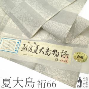 夏物 夏大島 着物 未使用 正絹 越後 単衣 白地 段柄 葉 絣 カジュアル 新古品 仕立て上がり 身丈158 裄丈66 Ｍサイズ みやがわ sb17315