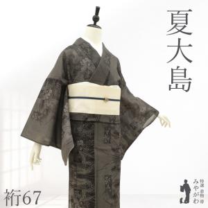 大島紬 夏物（未使用品） 2026年最新】Yahoo!オークション -大島紬 着物 夏大島の中古品・新品