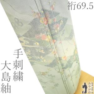 本場琉球かすり 単衣 紬 着物 正絹 沖縄県 琉球絣 白緑 カジュアル