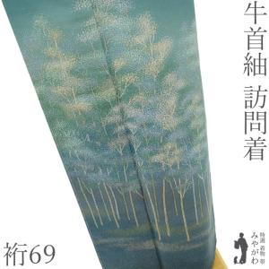 本場牛首紬 袷 訪問着 着物 石川県指定無形文化財 手織り 手染め 淡茶