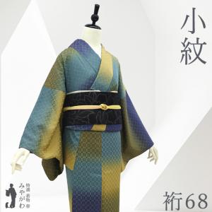 小紋　金彩　桜　花模様　花地紋　お洒落　着物　122b d ms 小紋 金彩 桜 花模様 花地紋 お洒落 着物 122b d ms 【公式通販】