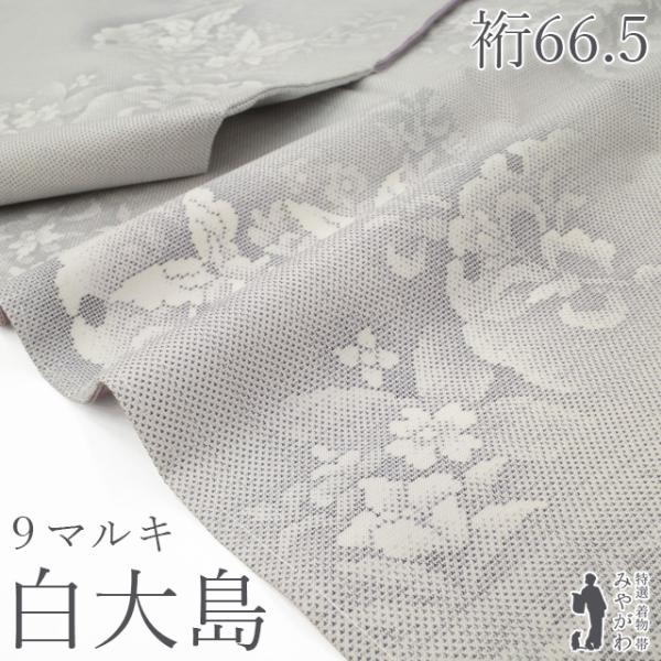 本場大島紬 着物 未使用 正絹 白大島 雪輪 草花柄 蝶 ９マルキ カタス式 新古品 仕立て上がり ...