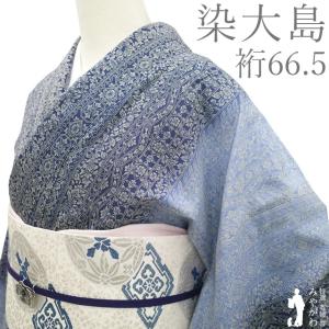 本場大島紬 着物 未使用 正絹 大島紬 縞大島 黒 多色 小格子