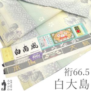 小紋　フルセット　着物　大島紬　花葉文様　幾何学文様　おでかけに　袷　R4 本場大島紬 袷 着物 正絹 7マルキ 一元式 黒こげ茶 雪輪 花