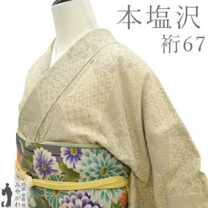 本場大島紬 着物 未使用 正絹 白大島 雪輪 草花柄 蝶 9マルキ カタス