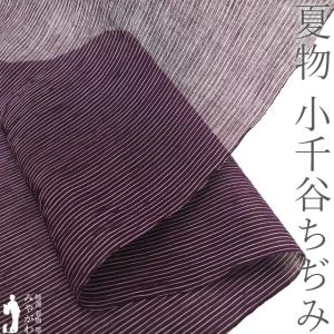 夏物 小千谷ちぢみ 着物 着尺 反物 本場小千谷ちぢみ 本麻 麻 越後