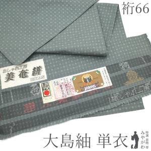 結城紬 着物 未使用 正絹 袷 80亀甲 グレー うさぎ 桜 ぼかし
