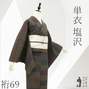 本場琉球かすり 単衣 紬 着物 正絹 沖縄県 琉球絣 白緑 カジュアル