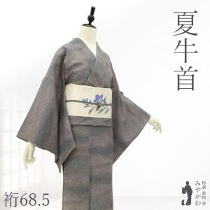 夏物 夏大島 着物 単衣 未使用 正絹 紗紬 十日町 黒 紺 葉 実