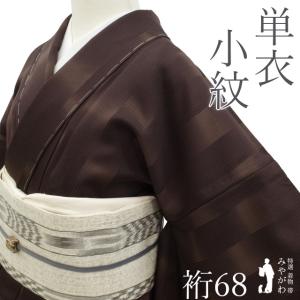 夏物 単衣 着物 未使用 紗紬 正絹 十日町 ライトグレー地 斜め縞 草花