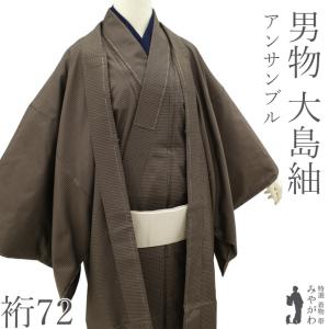 【美品　トールサイズ】夏塩沢紬　小紋　単衣　裄丈70.5 身丈169 男物 塩沢紬 着物 単衣 正絹 絹 コルク色 さが美 扱い メンズ 紳士