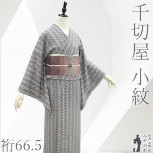 夏物 単衣 着物 未使用 紗紬 正絹 十日町 ライトグレー地 斜め縞 草花