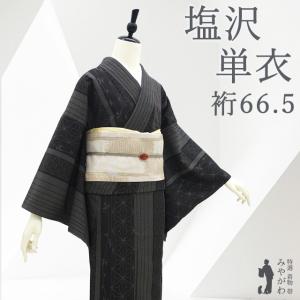 本場大島紬 着物 未使用 正絹 白大島 雪輪 草花柄 蝶 9マルキ カタス