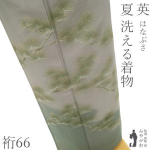 夏物 訪問着 単衣 着物 未使用 フォーマル 正絹 絽 手刺繍入り ろう
