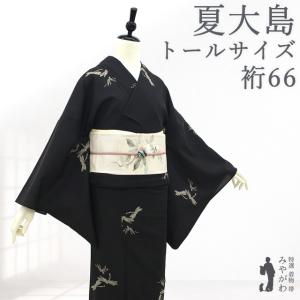 夏物 本場大島紬 着物 未使用 正絹 夏大島 単衣 ホワイトグレー リーフ