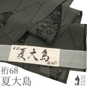 呉服屋 訳あり 正絹 琉球絣 反物 夏用 本場手織り 紗着尺 琉球かすり