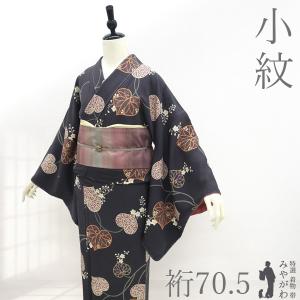 裄丈71 夏着物　正絹　絽　江戸小紋　着物単品 夏物 江戸小紋 単衣 着物 未使用 正絹 絽 夏着物 ライトグレー 大小霰