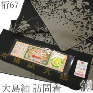 本場大島紬 着物 未使用 正絹 白大島 雪輪 草花柄 蝶 9マルキ カタス
