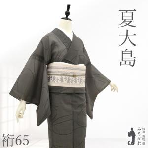 夏物 単衣 着物 未使用 紗紬 正絹 十日町 粋紗絣 黒地 ゆらぎ縞 水玉