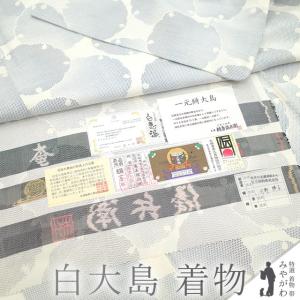 平和屋本店□極上 本場大島紬 割り込み絣 舞蝶花文 黒地 逸品 未使用
